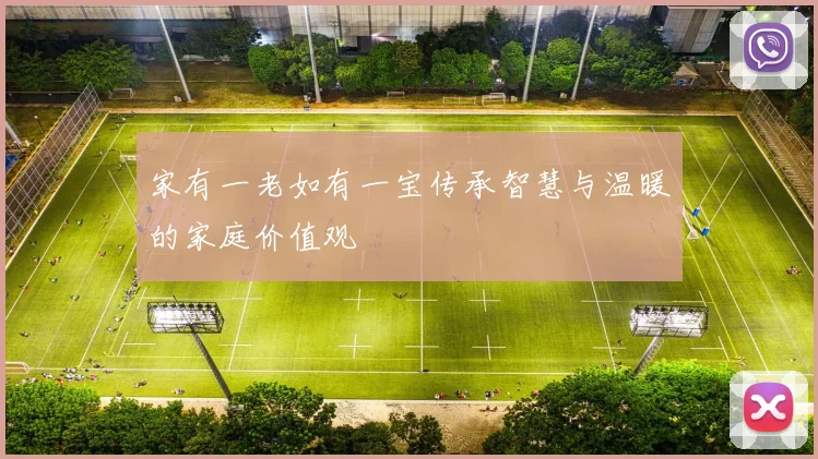 家有一老如有一宝传承智慧与温暖的家庭价值观