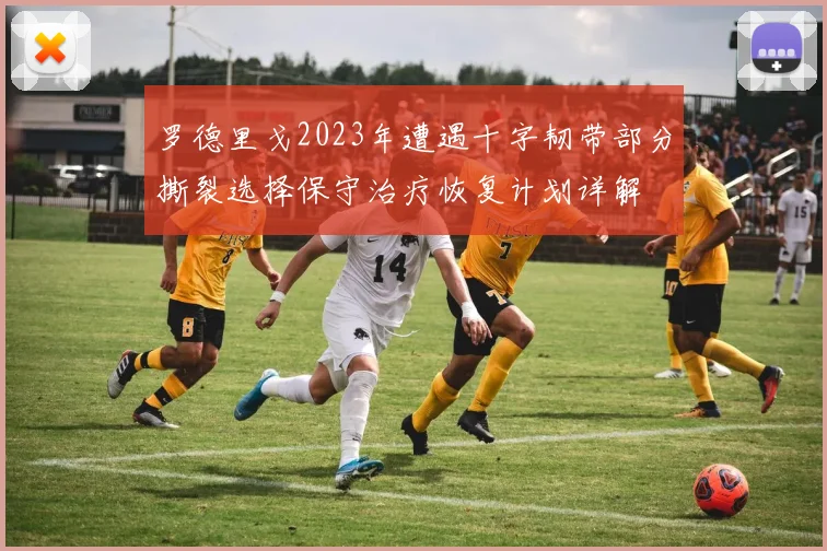 罗德里戈2023年遭遇十字韧带部分撕裂选择保守治疗恢复计划详解
